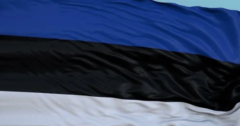 Seamlessly Looping flag for Estonia, blowing beautifully in the wind. Vídeos de archivo 80976825