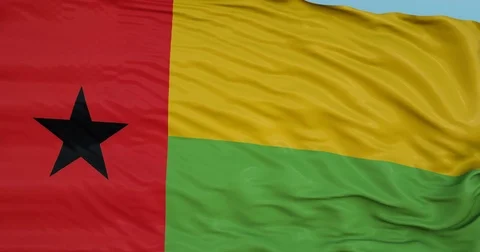 Seamlessly Looping flag for Guinea, blowing beautifully in the wind. Slo-Motion. 動画素材 80996511