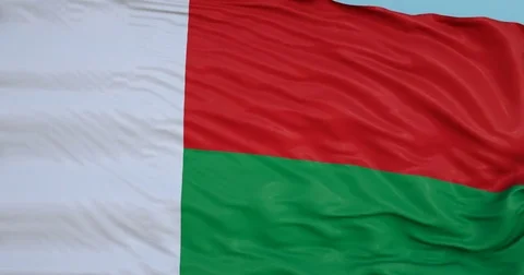 Seamlessly Looping flag for Madagascar, blowing beautifully in the wind. Vídeo Stock 80976426