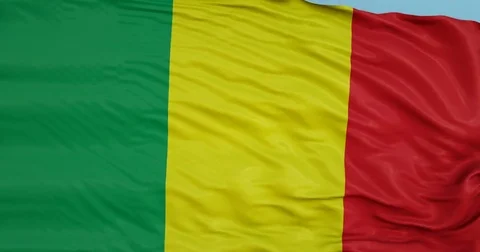 Seamlessly Looping flag for Mali, blowing beautifully in the wind. Slo-Motion. Vídeo Stock 80977085