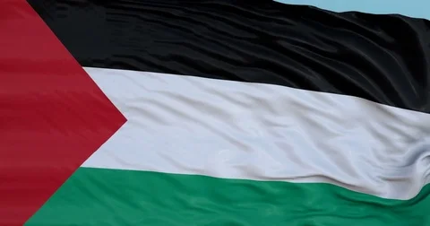 Seamlessly Looping flag for Palestine 動画素材 80977591