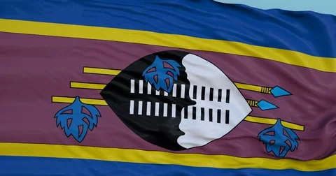 Seamlessly Looping flag for Swaziland, blowing beautifully in the wind. Stock Footage 80976451
