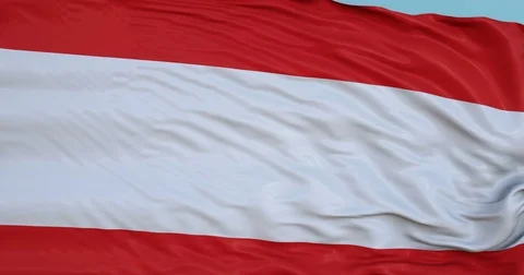 Seamlessly Looping flag for Tahiti, blowing beautifully in the wind. Slo-Motion. Stock-Footage 80975249