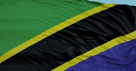 Seamlessly Looping flag for Tanzania, blowing beautifully in the wind. Video stock 80975646