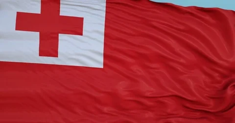 Seamlessly Looping flag for Tonga, blowing beautifully in the wind. Slo-Motion. Vídeos de archivo 80976301