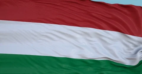 Seamlessly Looping flag for Transkei, blowing beautifully in the wind. Stock Footage 80977520