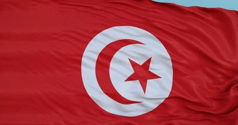 Seamlessly Looping flag for Tunisia, blowing beautifully in the wind. Stock Footage 80977782