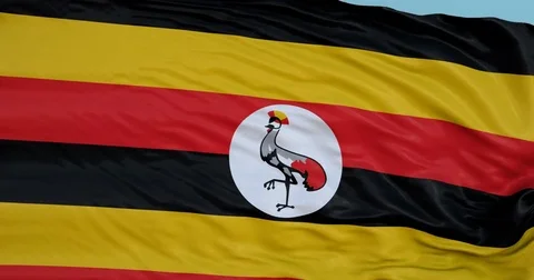 Seamlessly Looping flag for Uganda, blowing beautifully in the wind. Slo-Motion. Vídeo Stock 80977830
