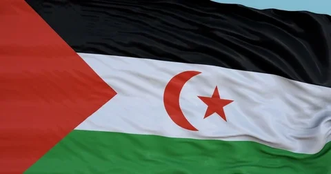 Seamlessly Looping flag for Western Sahara, blowing beautifully in the wind. Stock Footage 80975922