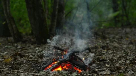Seamlessly Looping Forest Campfire with Wisps of Smoke and Glowing Coals Video stock 344031114