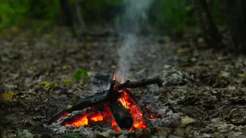 Seamlessly Looping Forest Floor Campfire with Smoldering Embers Loop Stock-Footage 344031134