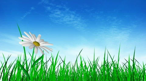 Seamlessly looping grass and flower Stock Footage 325152