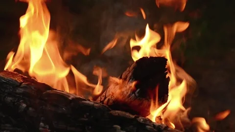 Seamlessly Looping Intense Fire Flames on Burning Log Stock Loop Stock Footage 344031123