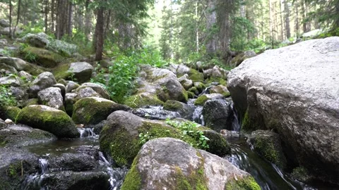 Seamlessly Looping Mountain Stream Flowing Over Green Mossy Rocks Video stock 138180163