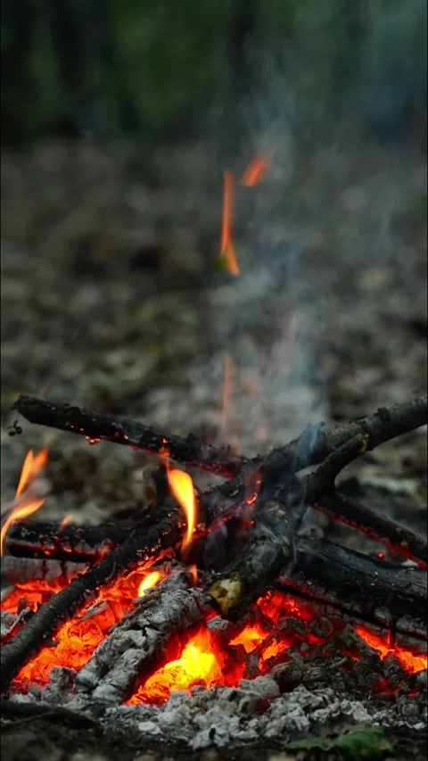 Seamlessly Looping Vertical Campfire with Rising Sparks and Smoke Loop Video stock 344031118