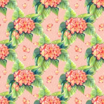 Seamless,Pattern,With,Pink,Hydrangeas,Buds Stock Illustration