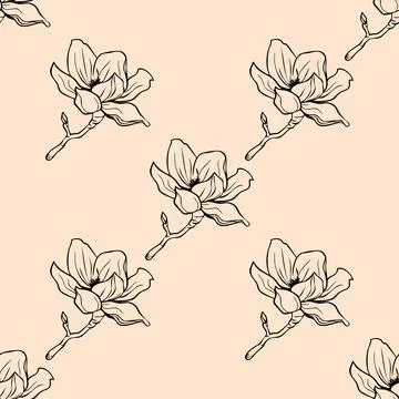 Seamples pattern black line drawing of a magnolia flower on light backgroun.. Stock Illustration