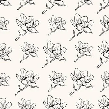 Seamples pattern black line drawing of a magnolia flower on light backgroun.. Stock Illustration