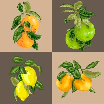 Seanless pattern in realistic vector graphic tile with citruc fruit Stock Illustration
