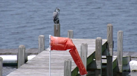 Seaplane Base Windsock 動画素材 37019662