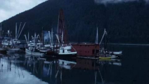Seaplane at  Excursion Inlet, circa 1967 Video stock 162590563