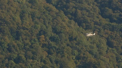 Seaplane flies against the backdrop of a mountain with red-green trees Stock Footage 128429148