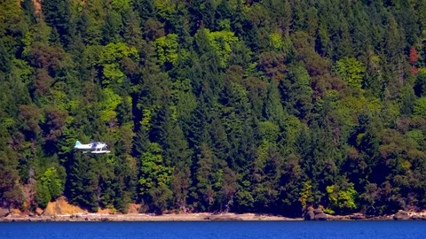 Seaplane Float Plane, Air and Water Travel, Blue Mountain Tree Lake Aviation Video stock 85236387