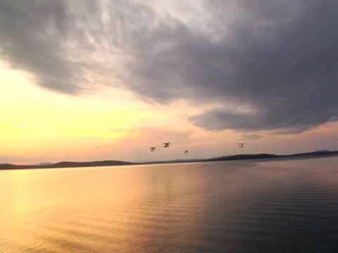 Seaplane flyby at sunset Stock Footage 32625024