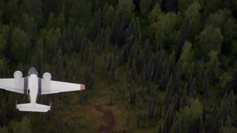 Seaplane flying low over a remote alaskan forest Stock-Footage 335099858