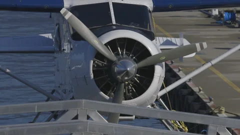 Seaplane Parked at the Dock 스톡 동영상 147705556