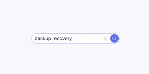Search for backup recovery on internet browser Stock Footage 121325816