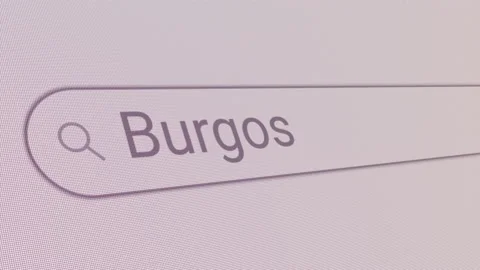 Search Bar Burgos Stock Footage 213247676