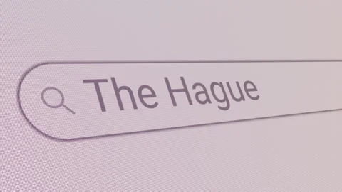Search Bar The Hague Stock Footage 218434748