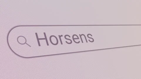 Search Bar Horsens Stock Footage 219538545