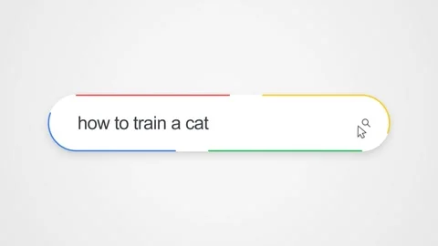 Search Bar Interface With Query How To Train A Cat - Digital Search Concept - Stock Footage 338395125