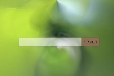 Search bar web on multi colored abstract background Stock Illustration