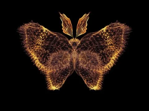 In Search of Butterfly Stock Illustration