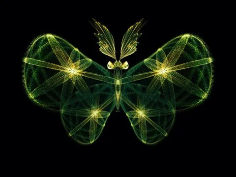 In Search of Butterfly Stock Illustration