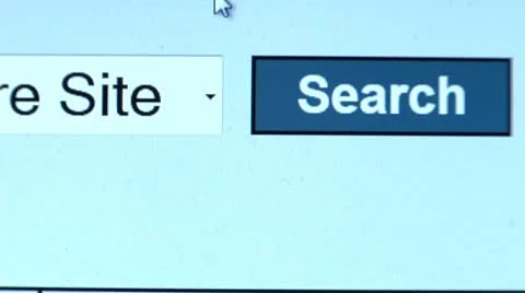 Search button, Find click. Internet Search Engine. Stock Footage 10757212