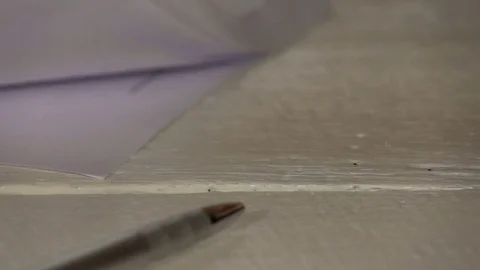 Search document or paperwork page slow motion Stock Footage 73562264