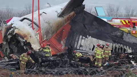 Search efforts continue at the site of the Muan plane crash, MUAN, ES - 30 Dec 2 Stock Footage 296609998