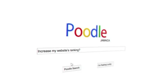 Search Engine Advertisement Stockmateriaal After Effects