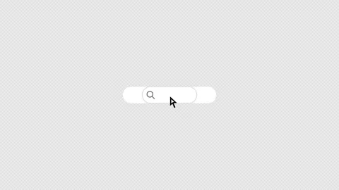 Search engine bar query, isolated on transparent with alpha channel. Stock Footage 297787840