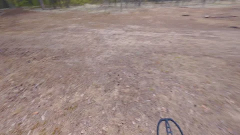 A search engine with a metal detector in the forest finds a valuable coin. 库存影片 334953860