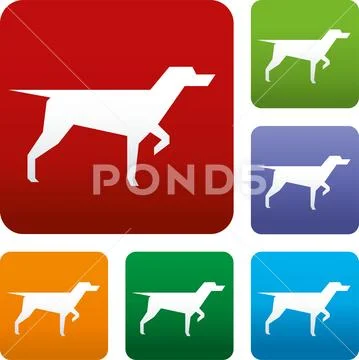Search icon. Bloodhound in alert position. Variations. Stock Illustration
