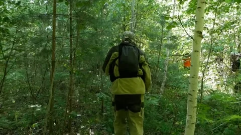 Search for the missing in the forest Stock Footage