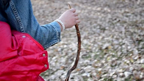 In search of mushrooms in the forest. Stock Footage 164094473