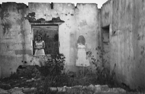 The Search Foto stock