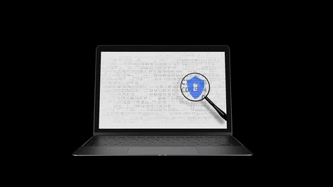 Search for vulnerabilities, security, data protection. 28 Stock-Footage 103306735