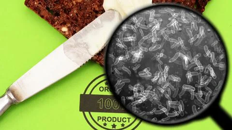 Searching for bacteria in bread Illustrazione stock